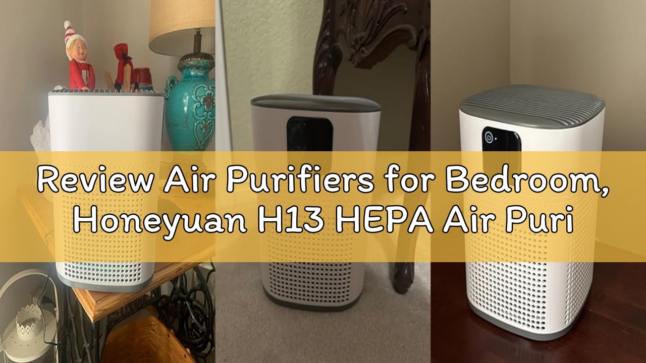 Review Air Purifiers for Bedroom, Honeyuan H13 HEPA Air Purifier for Home Large Room 1095 sqft, Air