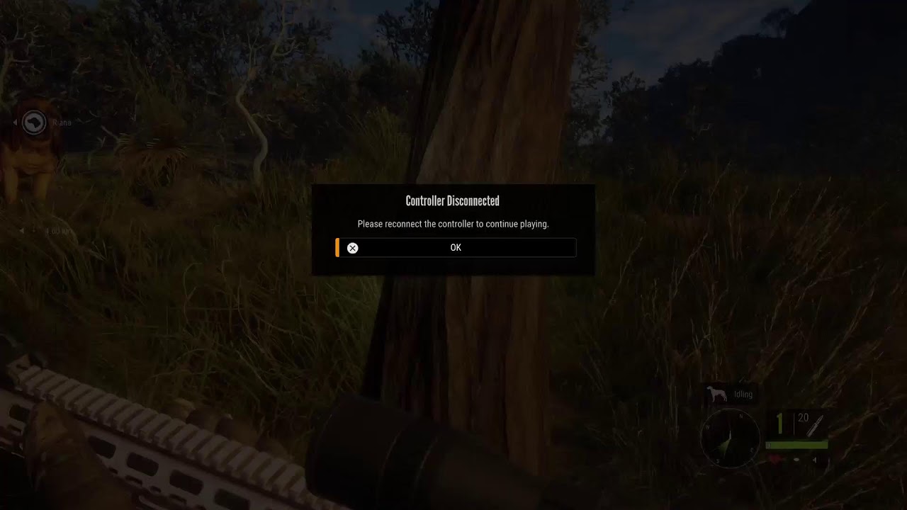 Hunting alligator