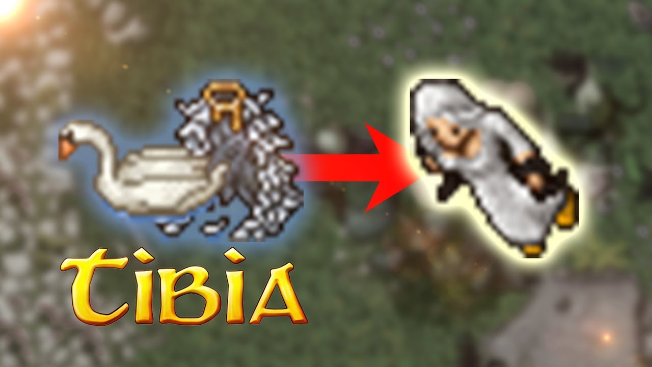 A GAROTA-CISNE - 🎲 Tibia RPG - Universo Paralelo
