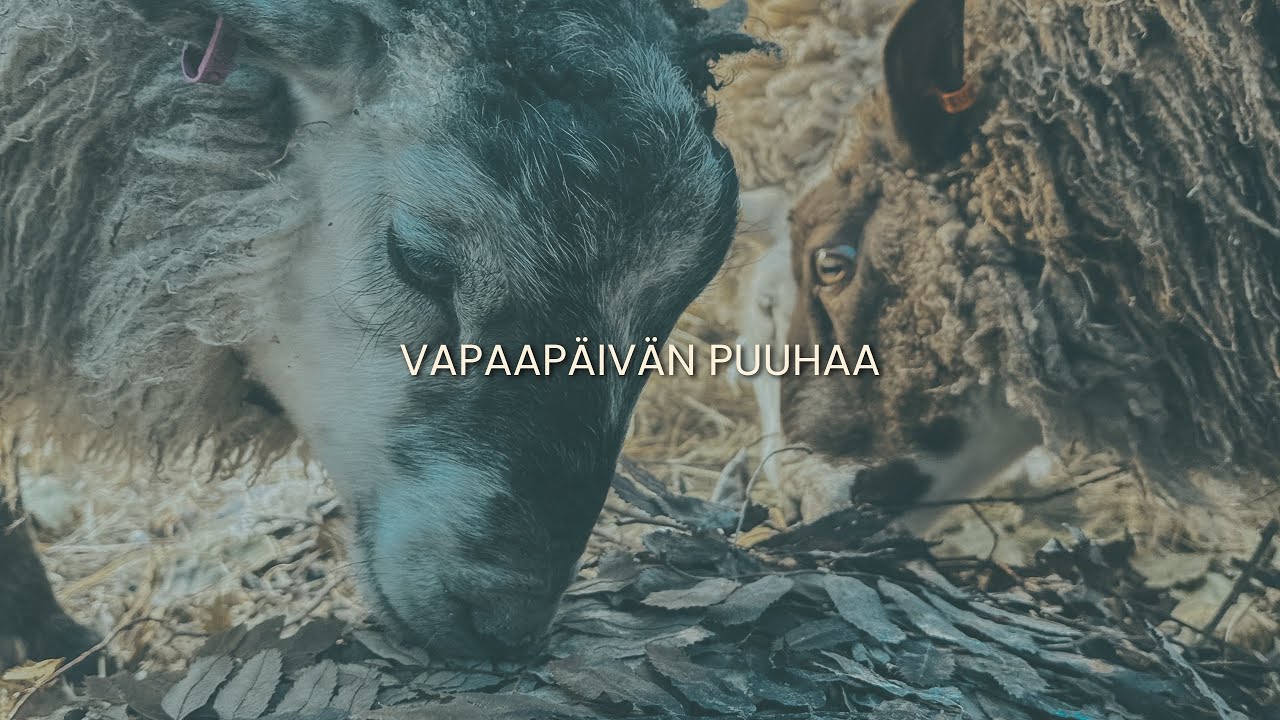 Vapaapäivän puuhaa Urpolassa