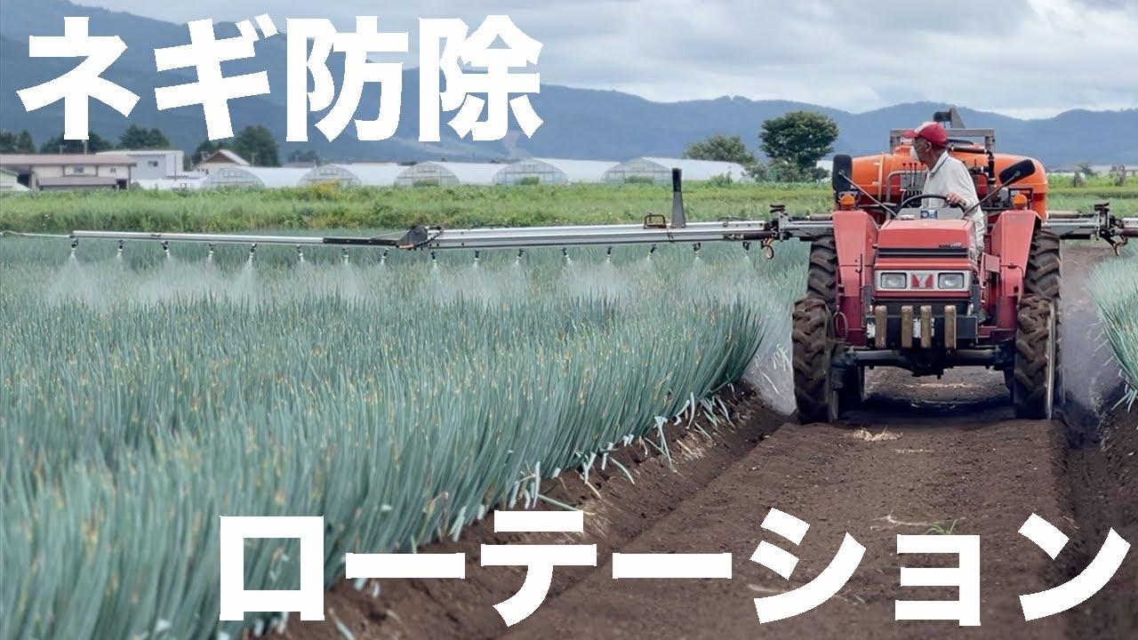 【初心者必見！】どう使い分ける！？俺流！ネギ防除ローテーション散布の考え方