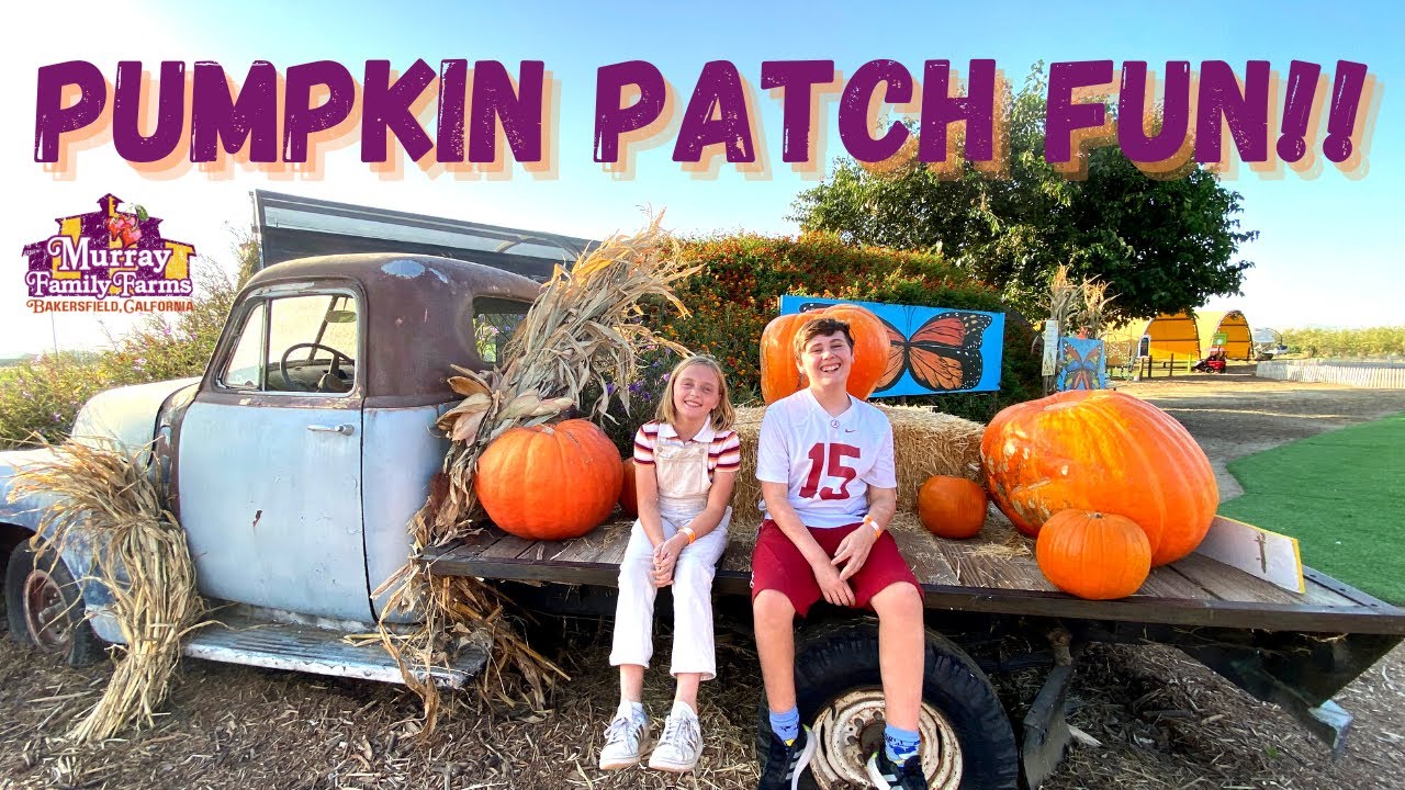Pumpkin Patch Fun at Murray Family Farms!! | October Fun Fest 🎃