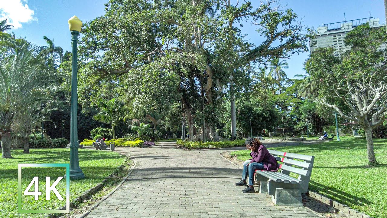 Mozambique Maputo: Walking through the Charms of the Tonduro Botanical Garden