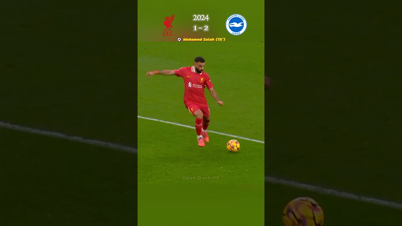 Liverpool vs Brighton 2024