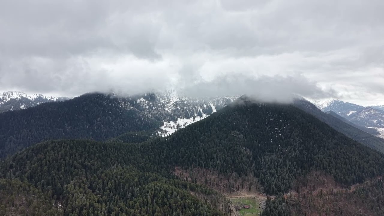 Sislerin Üzerine Doğru | Yeşil Orman ve Karlı Zirveler 🌫️🏔️