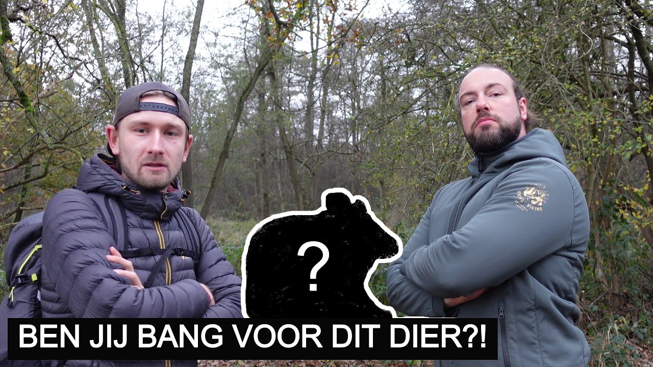 #182: Voor dit dier zijn héél veel mensen bang!