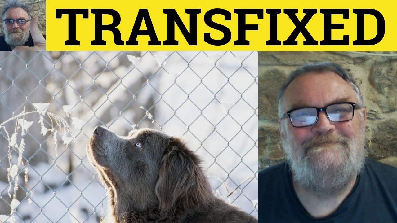 🔵 Transfix Meaning - Transfixed Examples - Transfix Defined - Formal Vocabulary