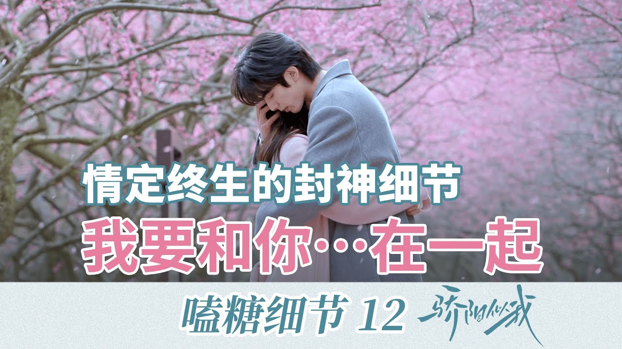 骄阳似我│深扒细节：隐藏深意！林屿森聂曦光情定终身里的封神细节！❤️‍ Shine On Me（宋威龙×林屿森 赵今麦×聂曦光）