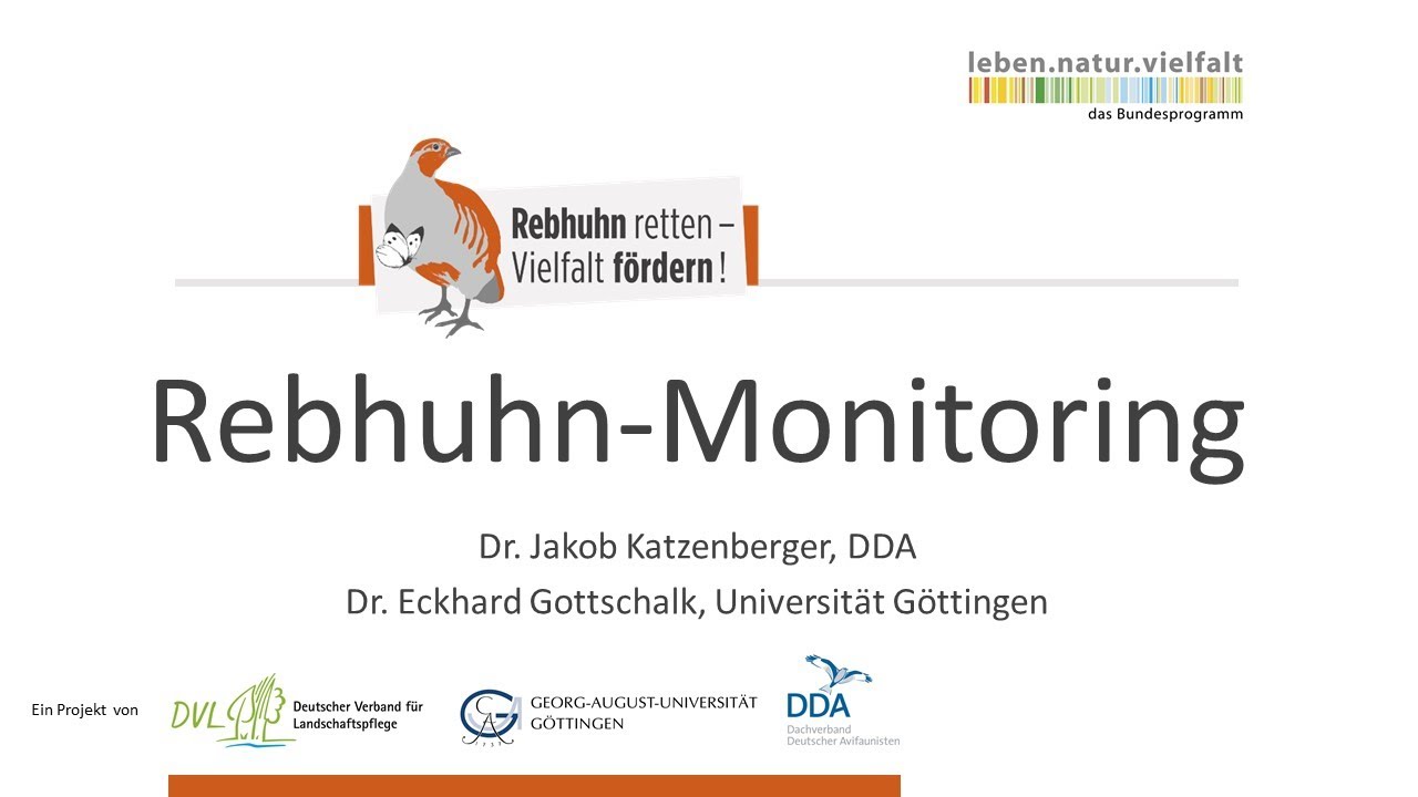 Rebhuhn-Monitoring (Online-Vortrag) Rebhuhn retten - Vielfalt fördern!