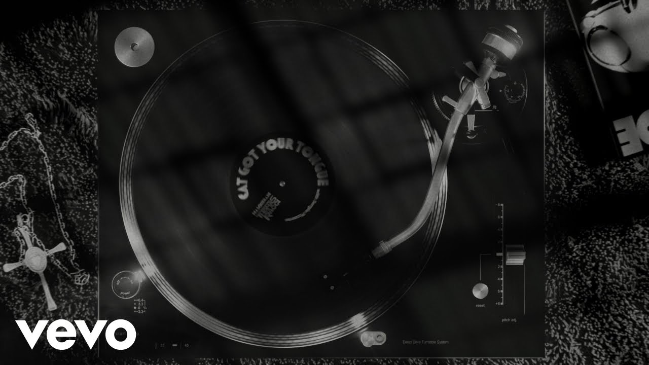 Thomas Raggi - CAT GOT YOUR TONGUE with THE S.L.P, Kasabian - prod. Tom Morello