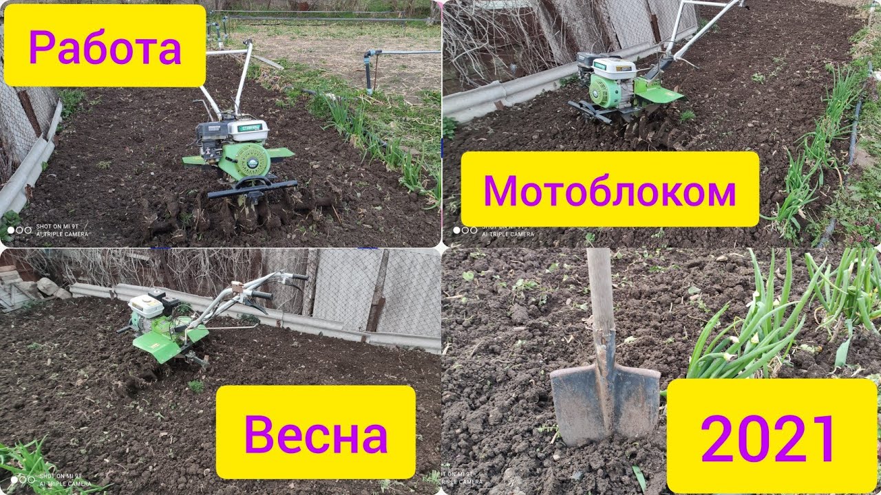 Работа мотокультиватором ставмаш, весна 2021. китайский мб