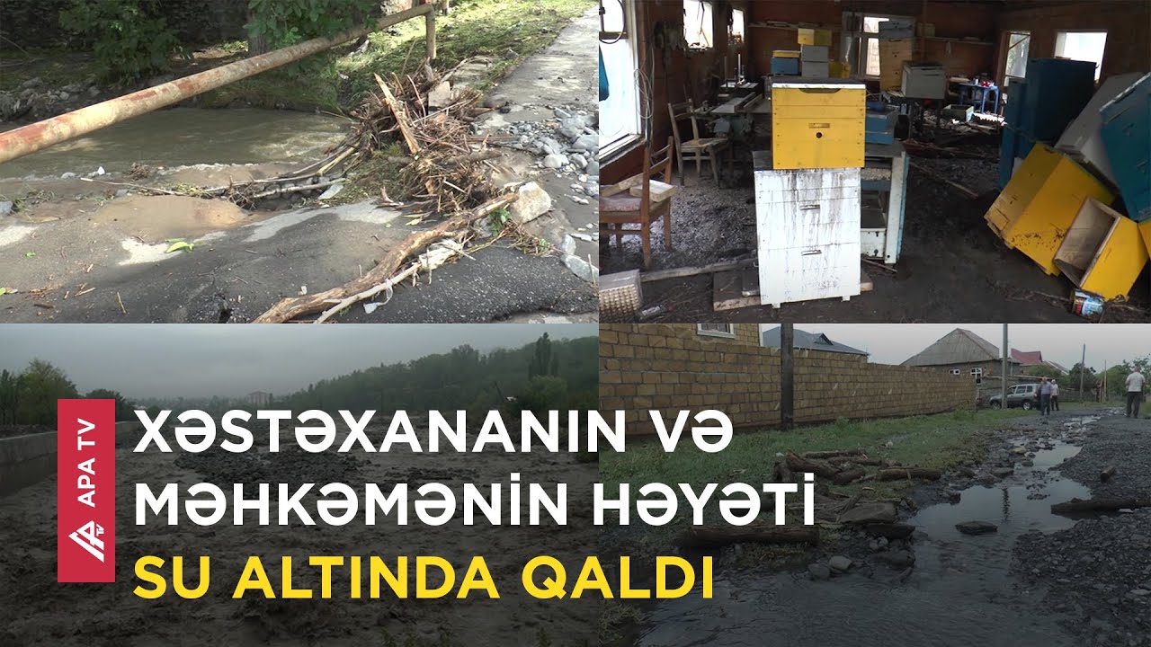 Külək və sel Zaqatalada evlərə, təsərrüfatlara ziyan vurdu – APA TV
