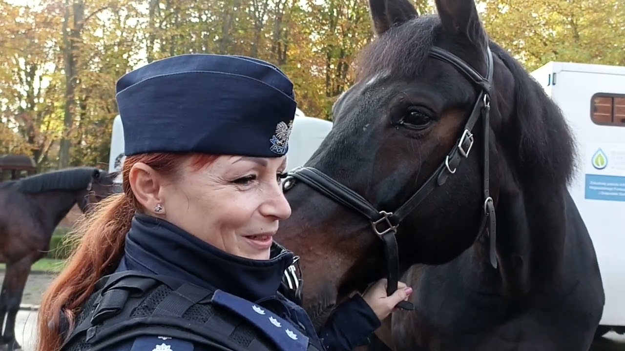 Policja konna na Cmentarzu Centralnym w Szczecinie
