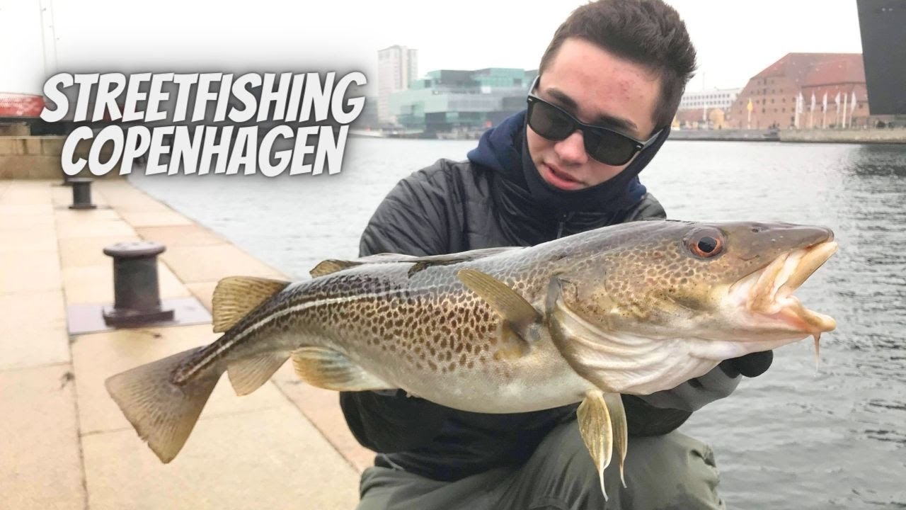 Streetfishing Copenhagen 2021 For Cod - Torsk På Softbaits