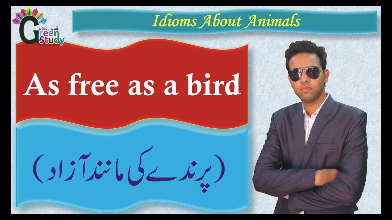 Idioms About Animals with Urdu Meaning | English Urdu Idioms | Idioms | Learn use of Idioms