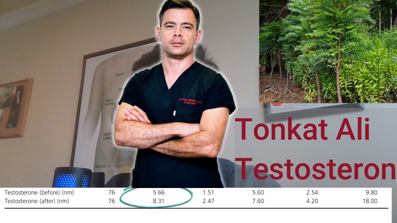 Tongkat Ali ve Testosteron