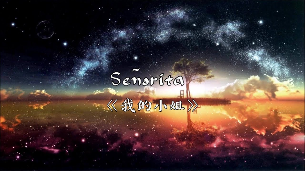 《中文字幕》Shawn Mendes, Camila Cabello - Señorita ▎我的小姐 ▎