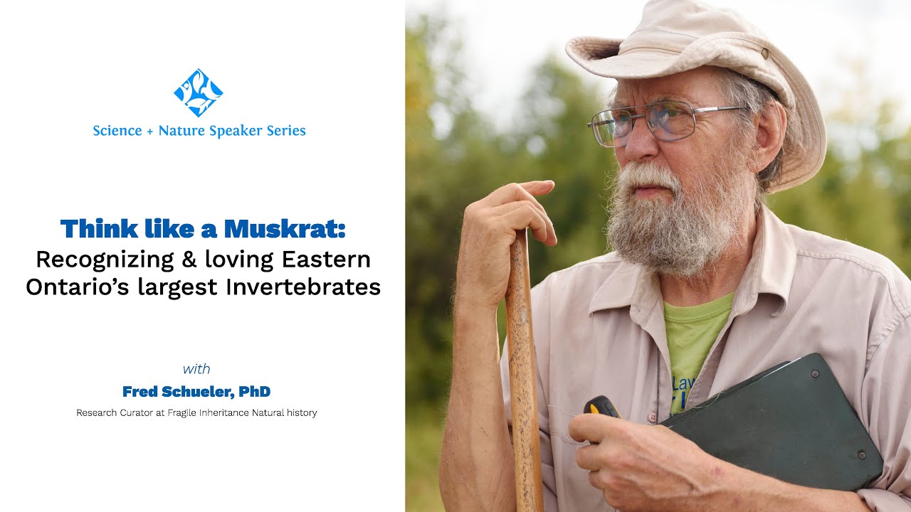 Science + Nature ONTap - Recognizing & loving Eastern Ontario's largest Invertebrates