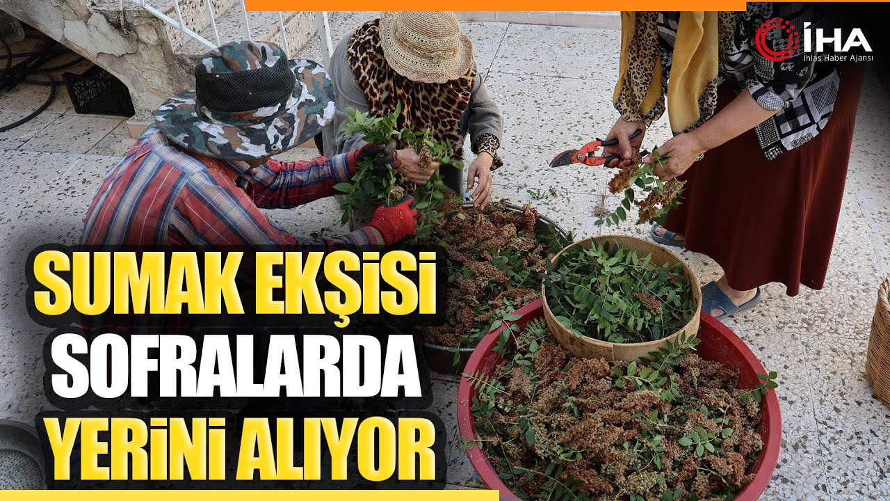 Kahramanmaraş'ta Sumak Ekşisi Sofralardaki Yerini Alıyor