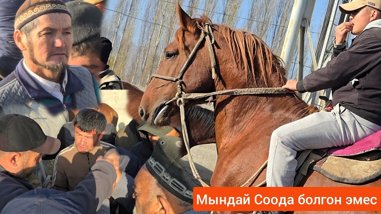 БАЗАРЫ КАЙНАГАН НООКАТ  ЖЫЛКЫ БАЗАРЫ УКМУШ КЫЗЫДЫ  АДЫЛ ава  ТЕРДИ 