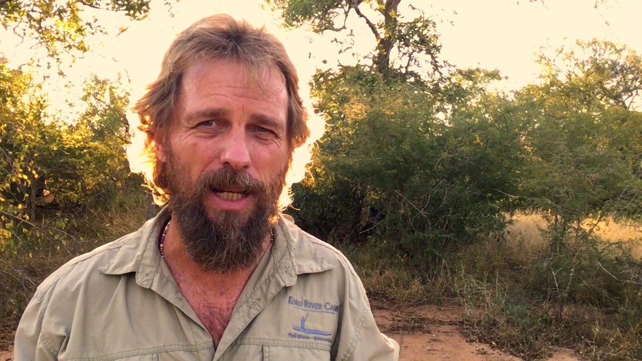 Tracking a new normal; looking back to look ahead. With Alan McSmith