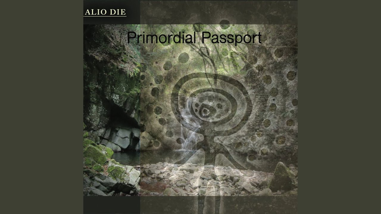 Primordial Passport, Pt. II ~ Origins