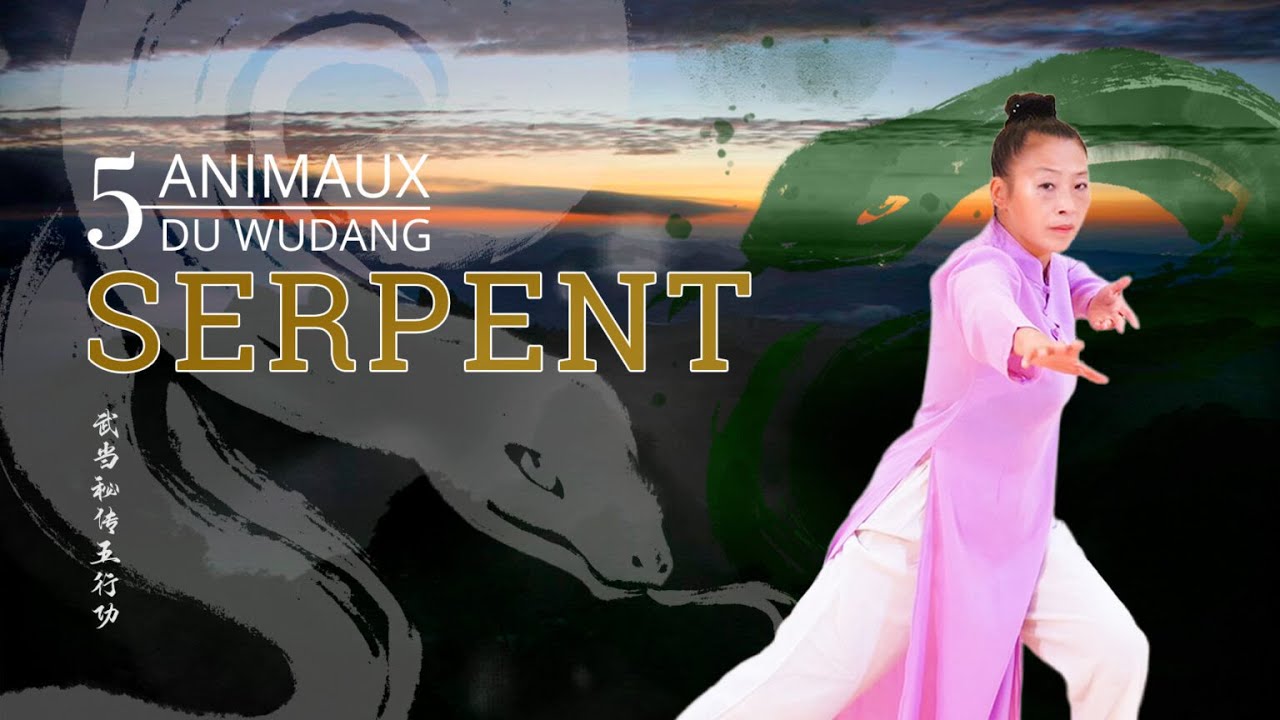 5 animaux du Wudang - Le Serpent sur KE Wen Institute