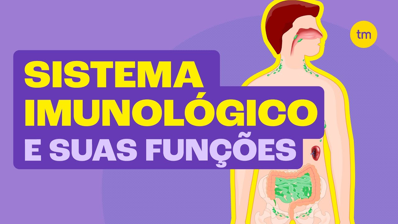 Como funciona o SISTEMA IMUNOL&Oacute;GICO (Resum&atilde;o)