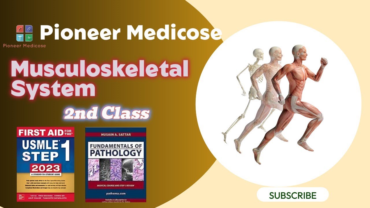 Musculoskeletal Class#2 Median, Ulnar Nerve, Brachial Plexus in URDU/HINDI for NRE/USMLE/FCPS