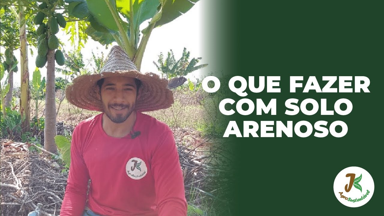 O QUE FAZER COM SOLO ARENOSO?