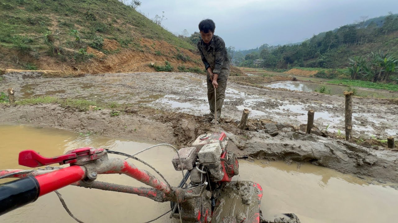 Thành Mai Tây Bắc_Gặp Nạn 