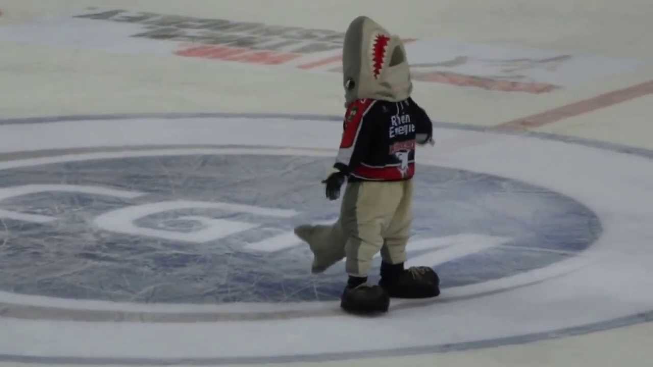 Sharky Dance - Kölner Haie vs. ERC Ingolstadt (11.10.13)