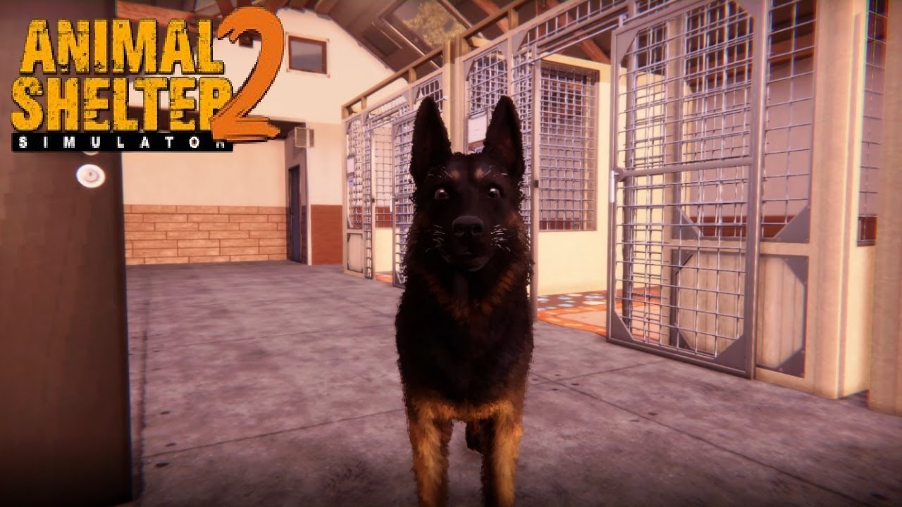 Animal Shelter 2 #66 - Taking Care Of Everyone - Let's Play