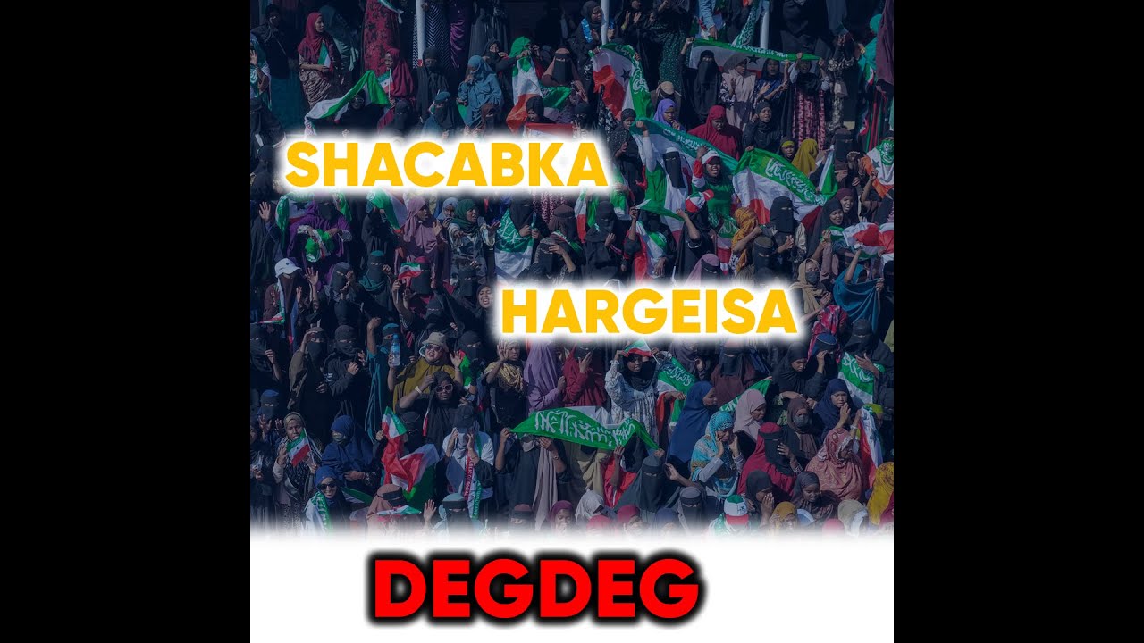 "Xasanow Dhiig La Daadiyo Somaliland Waxba Kaga Heli Maysid"