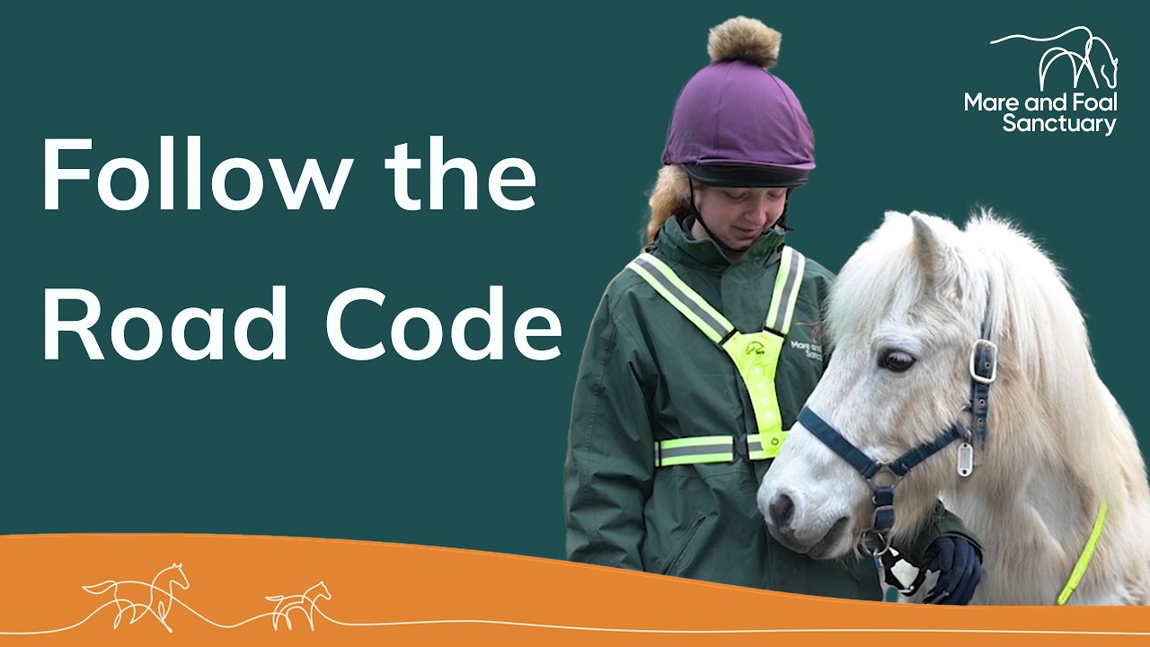 Essential Etiquette: Follow the Road Code