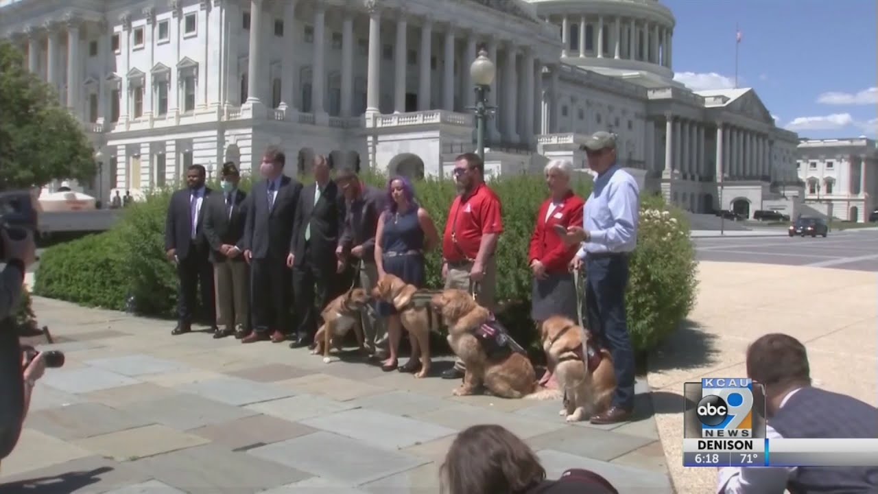 'paws act' moves through congress