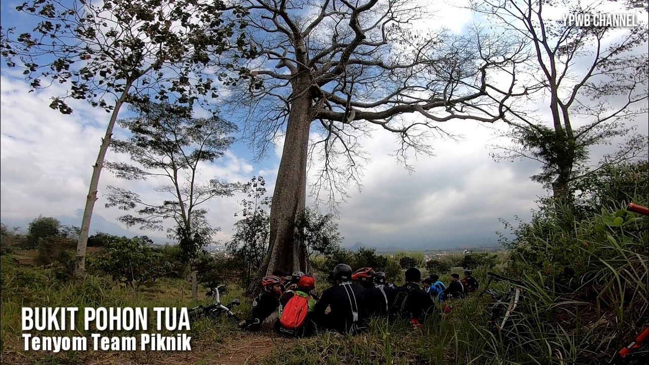 Jalur OMA KAMPUS - Tempat Hits Gowes di Kota Malang