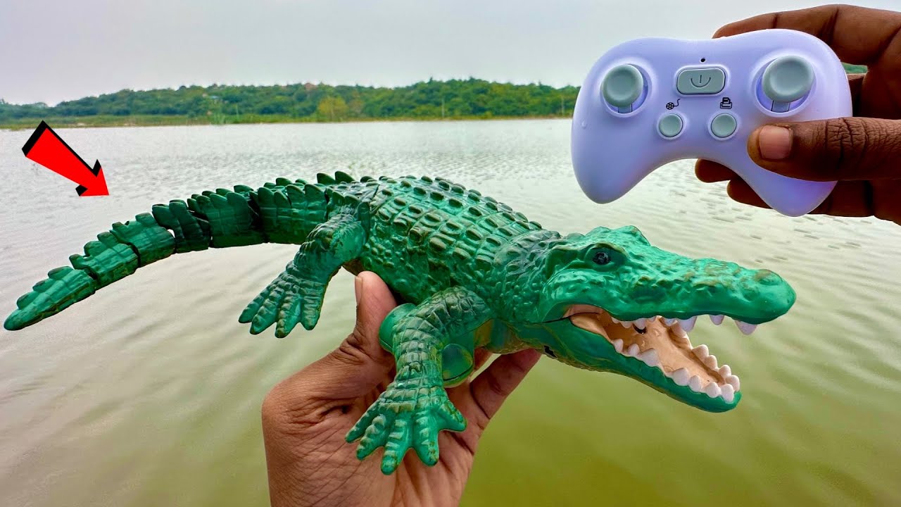 RC Realistic Swimming Crocodile Unboxing & testing - Chatpat toy tv