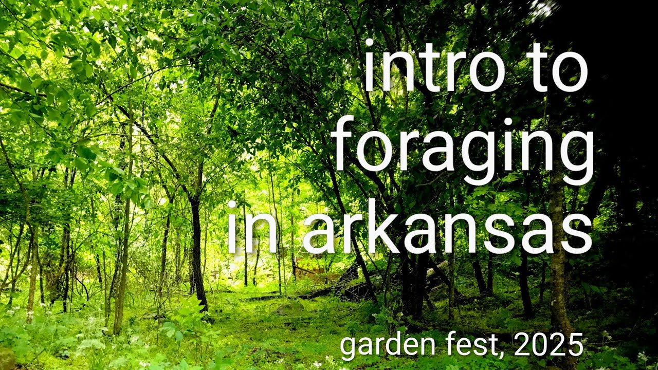 Intro to Foraging / Garden Fest 2025