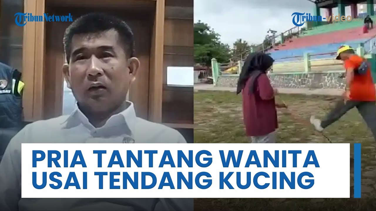 Miris! Kucing Peliharaan Mati Usai Ditendang oleh Pria Bertopi di Lapangan Kridosono Blora