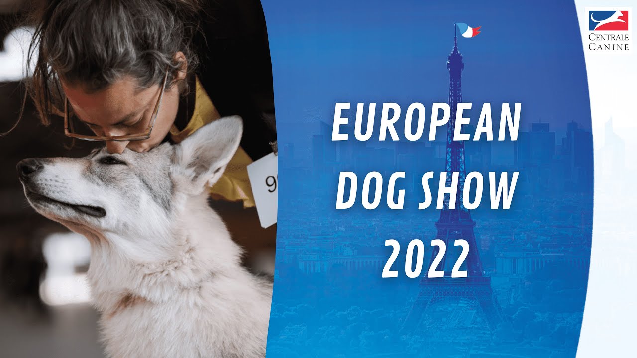 REPORTAGE : L' EUROPEAN DOG SHOW 2022 À PARIS !