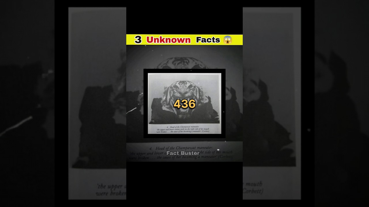3 Unknown Facts 😱|| 
