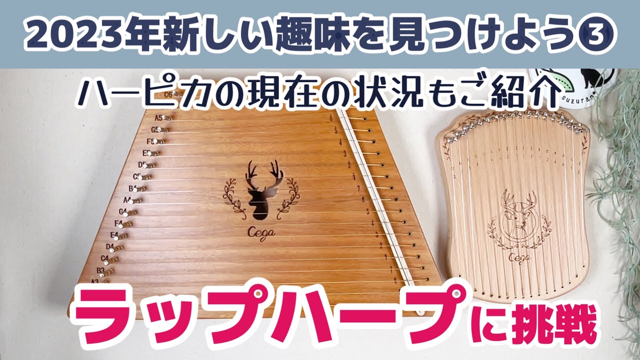 ハーピカと比べてどう？ラップハープに挑戦！【2023年新しい趣味を見つけてみよう③】