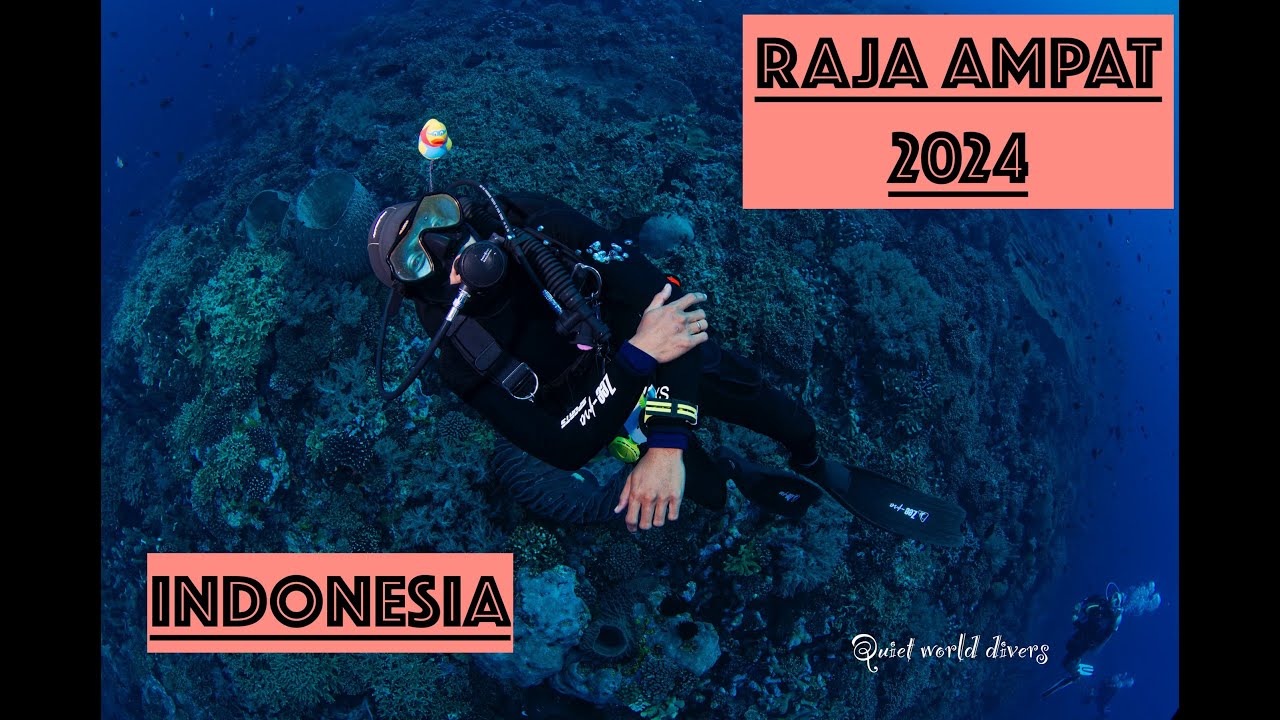 RAJA AMPAT DIVING 4K