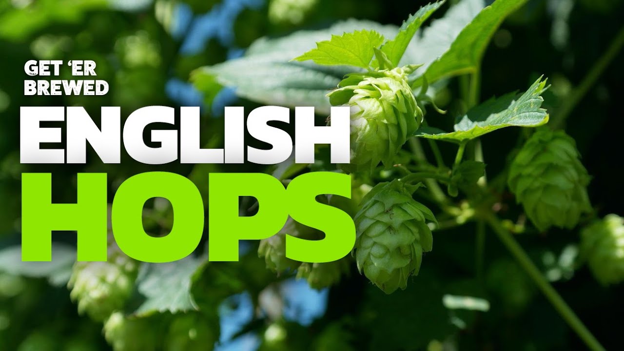 What hops are from the UK? Support English Hops Now