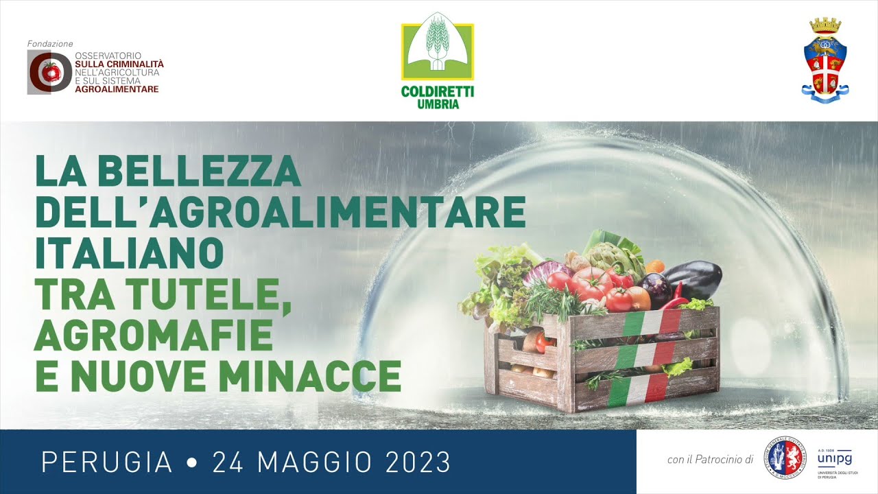 Gian Carlo CASELLI, Presidente Comitato scientifico Fondazione 