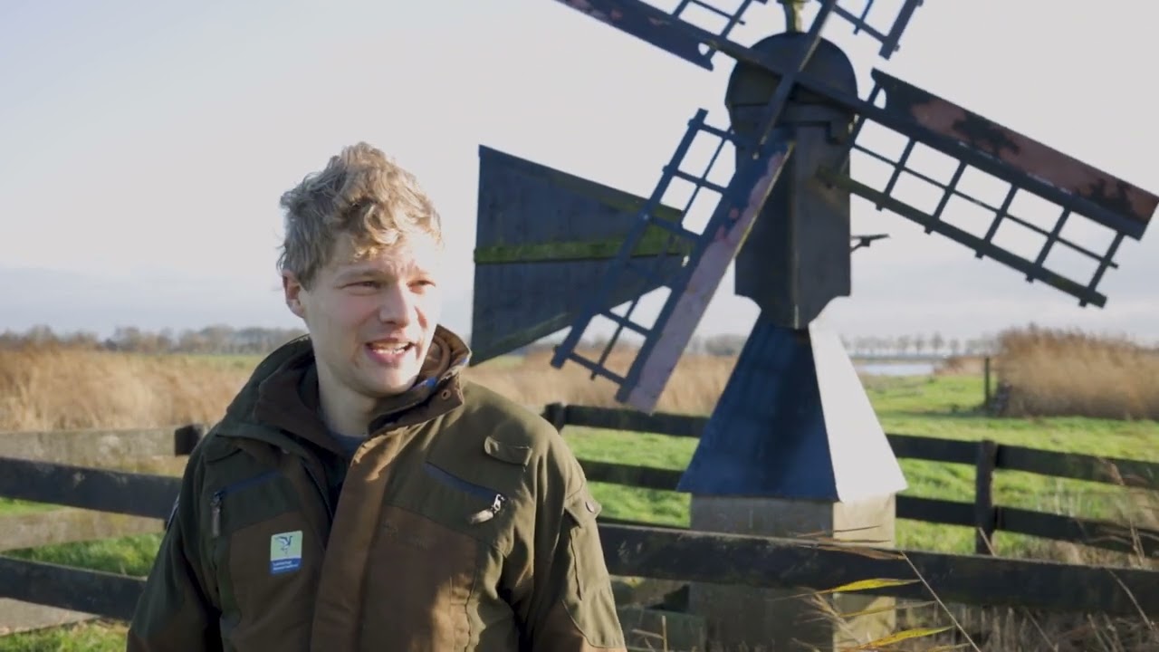 Ode aan de weidenmolen