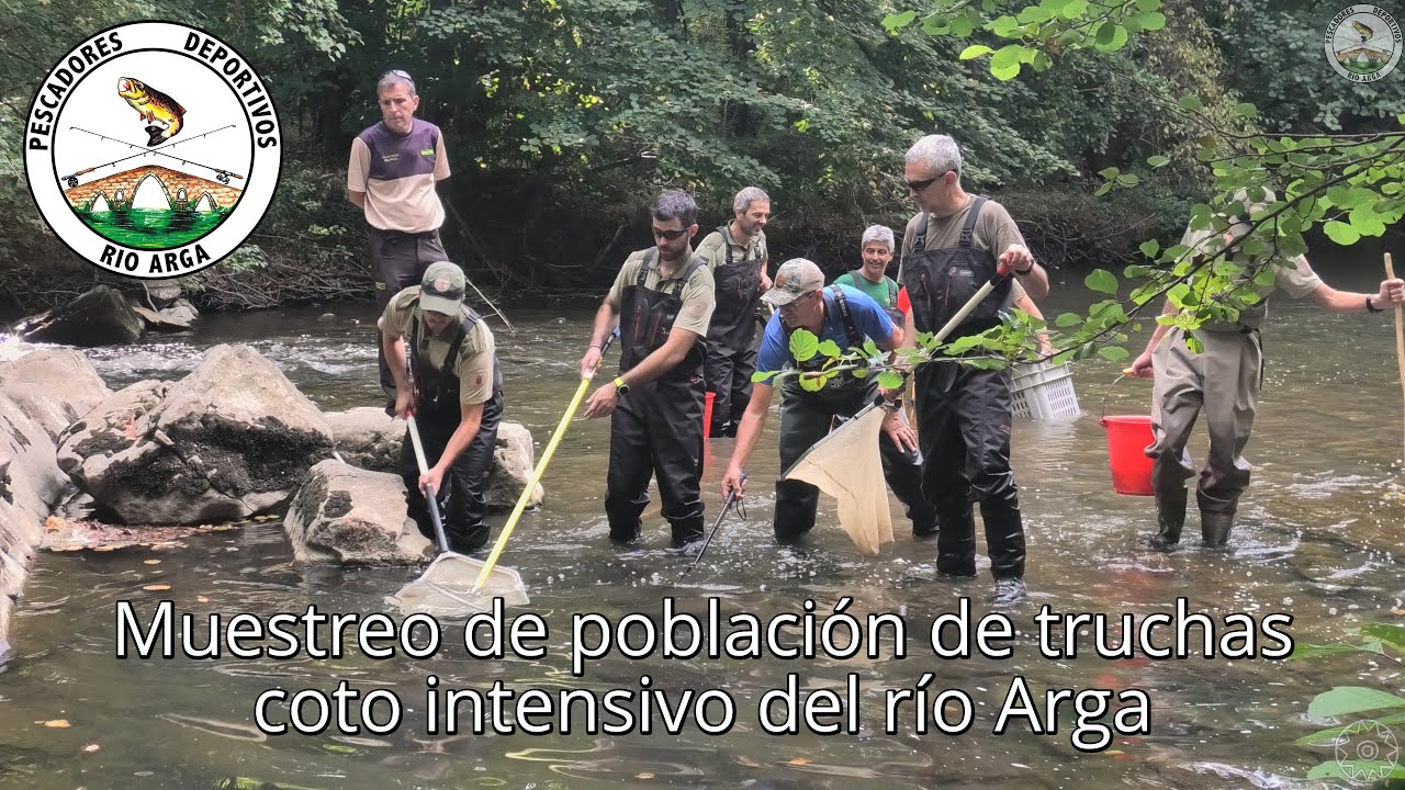 Muestreo de población de salmónidos en intensivo del río Arga