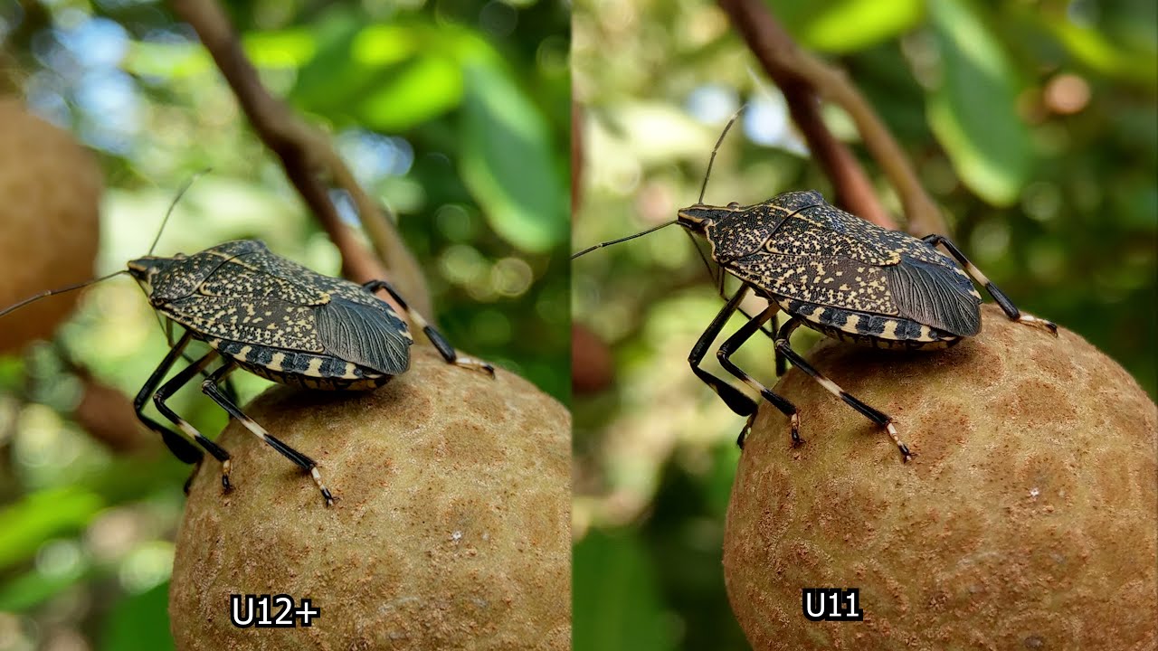 So sánh Camera HTC U11 vs HTC U12 Plus | HTC U12+ vs HTC U11 Camera Comparison Test