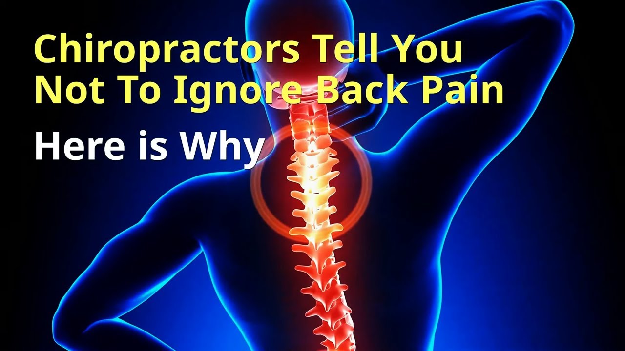Chiropractors in Charlotte And Back Pain Your Charlotte Chiropractor Explains